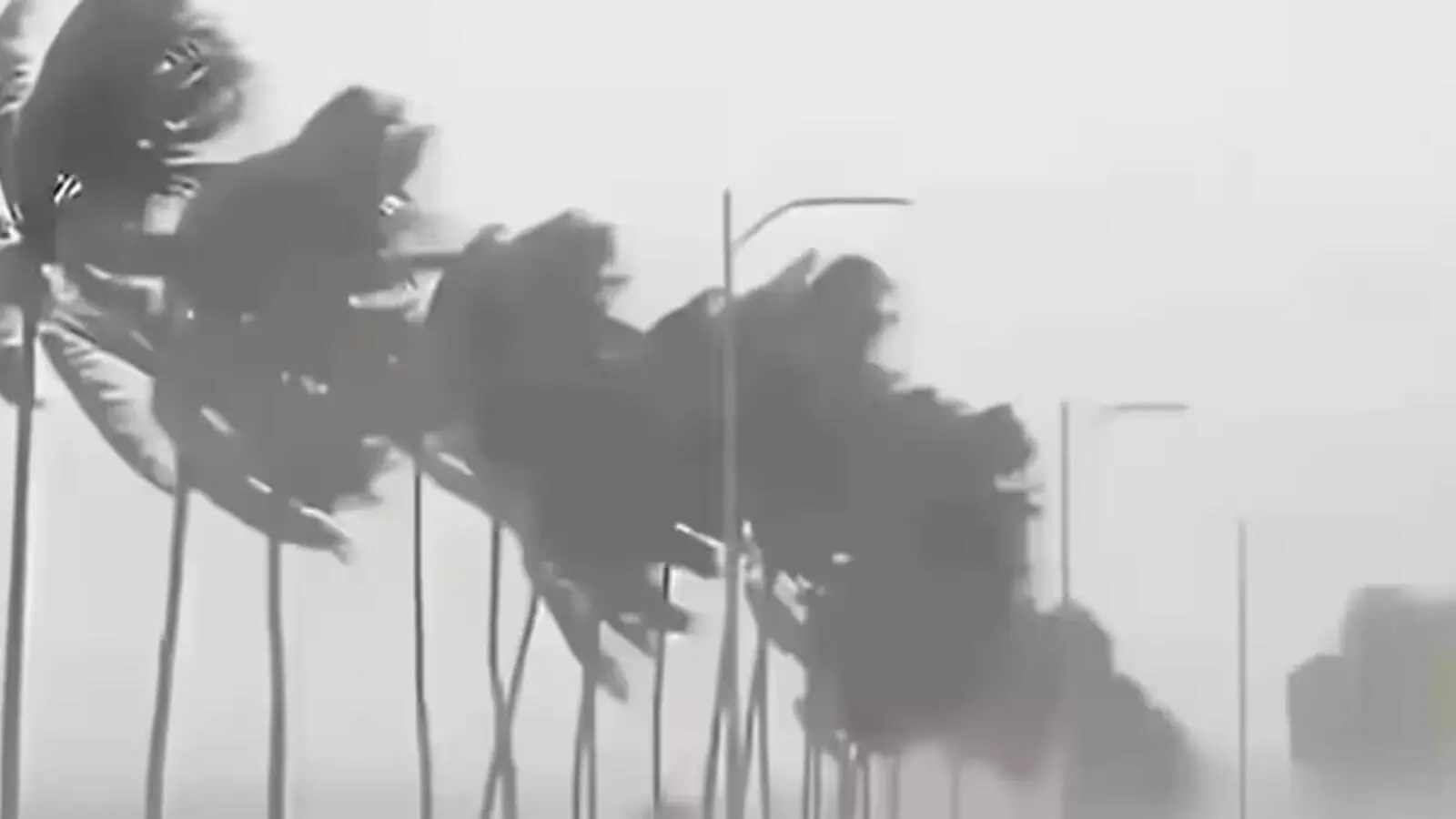 IMD weather alert 30 October: Heavy rain and storm winds up to 80 kmph in 16 states, Delhi, UP and Bihar on alert