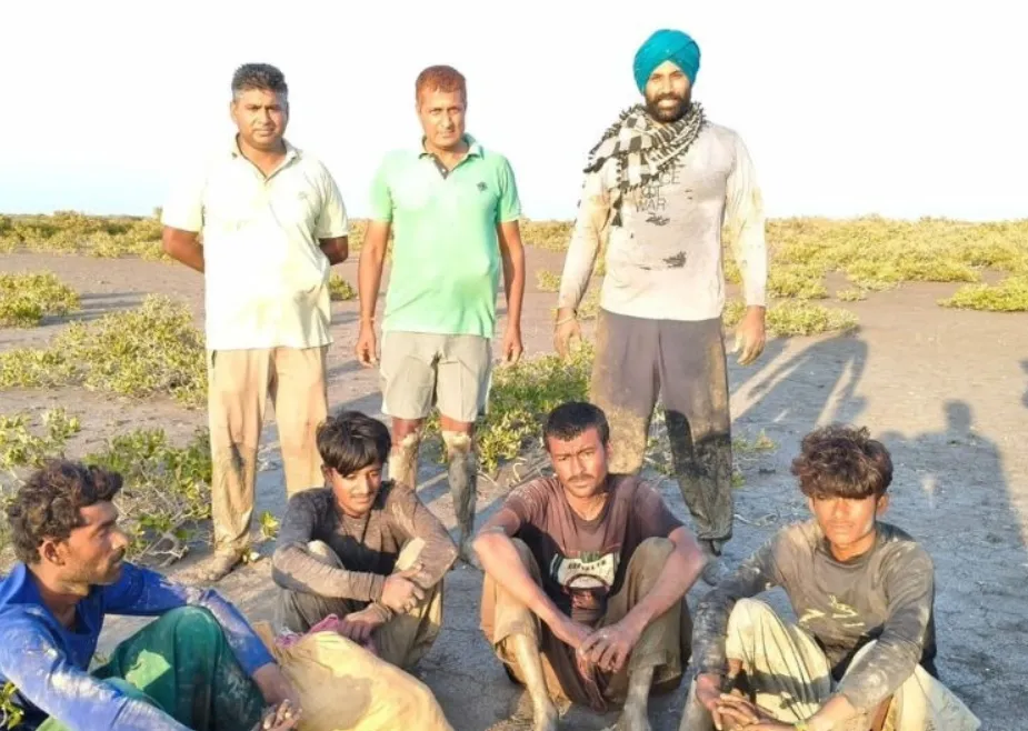 Sir Creek Kutch: BSF Apprehends 4 Pakistani Fishermen Who Say They Entered Indian Waters to Catch Crabs