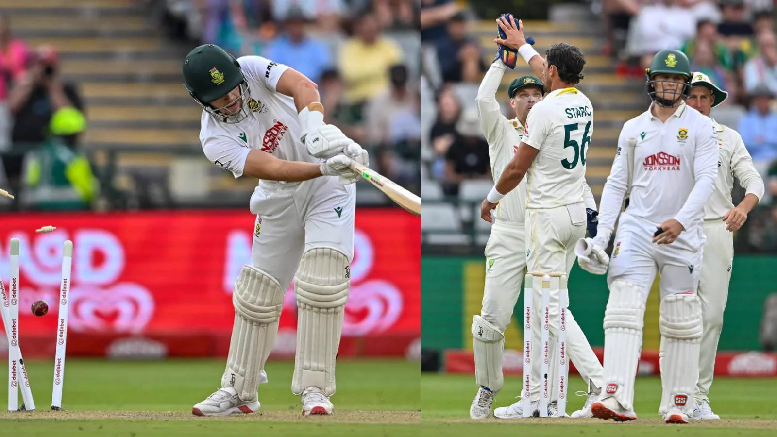 Mitchell Starc celebrates a wicket